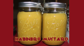 Mustardy Habanero Hot Sauce